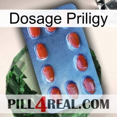 Priligy Dosage 06